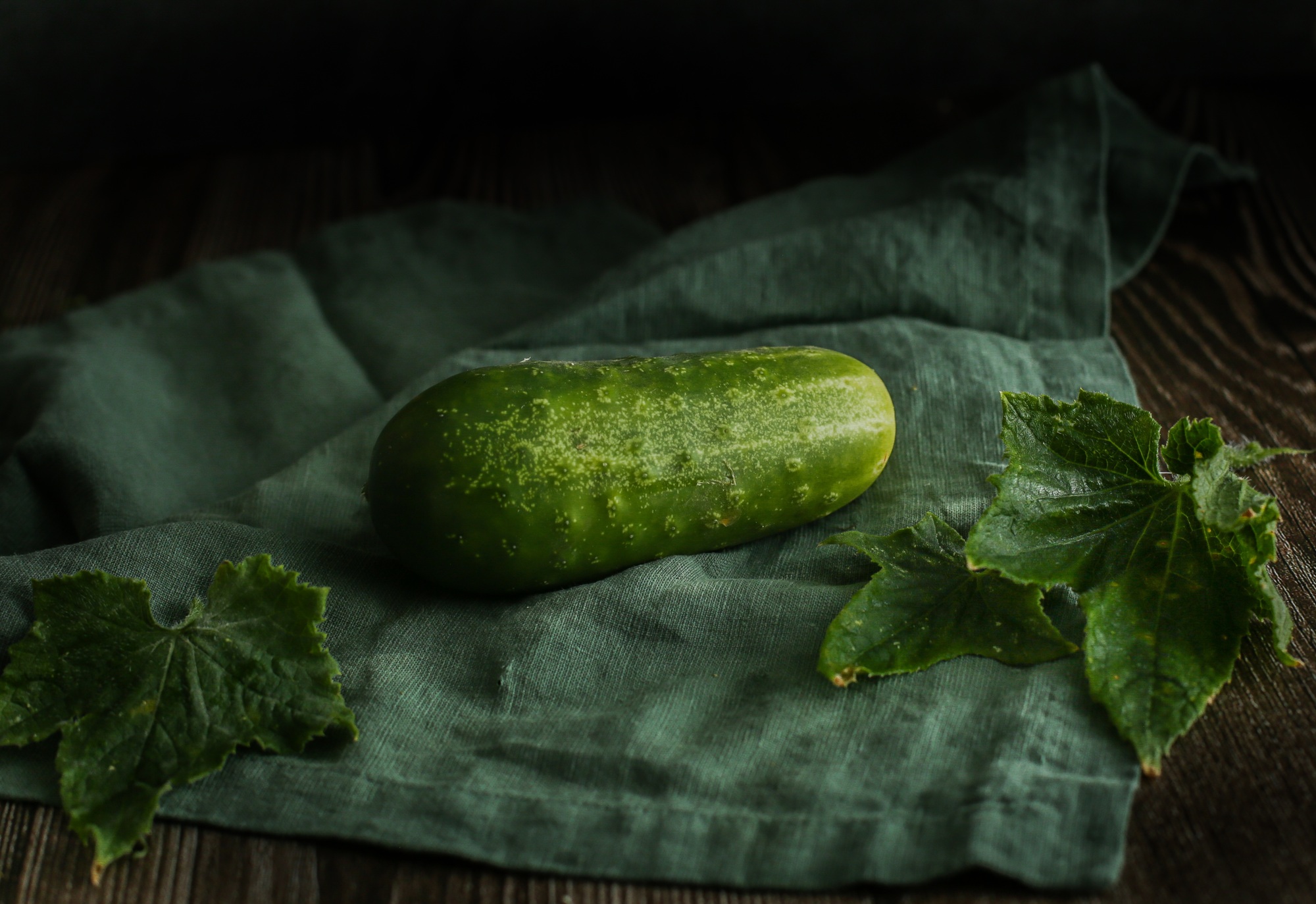 Cucumber